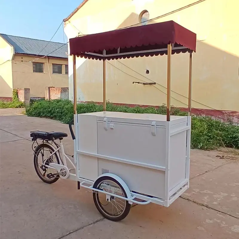 Klassik Pedallı Dondurma Arabası Velosipedi